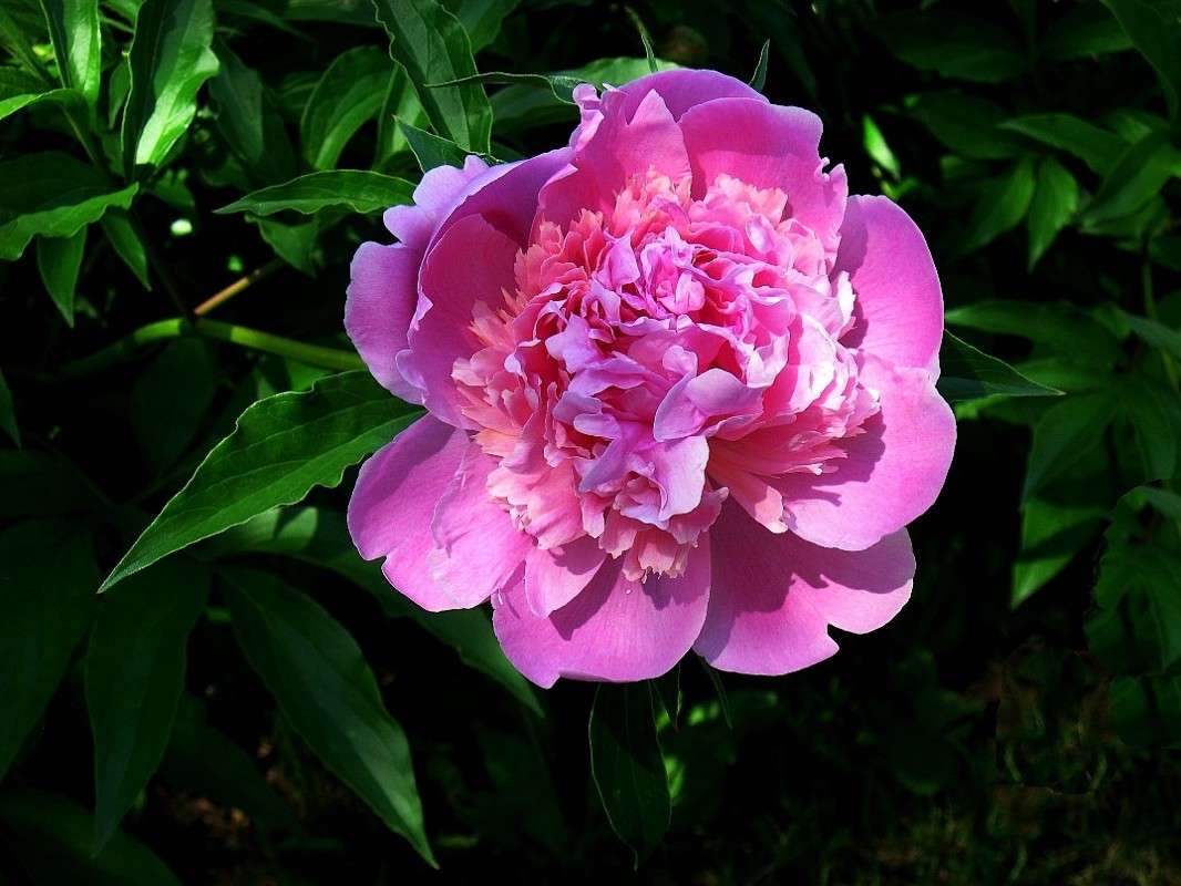 �� ��������...) ����� Natali  ��������� �� PhotoGeek.ru #������ ��� ������� #����� ��������������