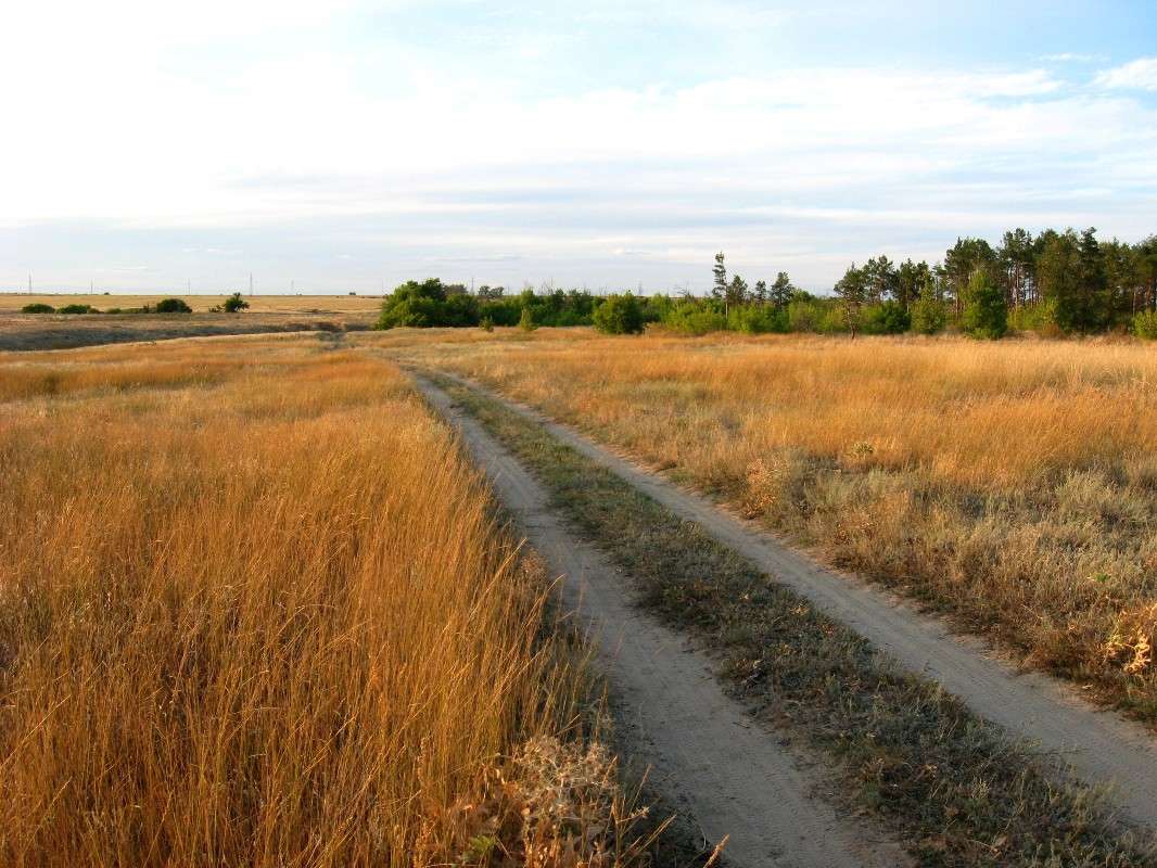 � ���� �������...) ����� Natali  ��������� �� PhotoGeek.ru #������ ��� ������� #����� �������������� #����� ��������