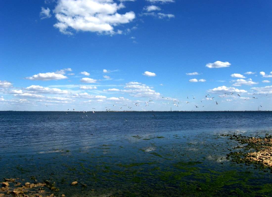 ���,...��������...) ����� Natali  ��������� �� PhotoGeek.ru #�������� ��� #������ ��� ������� #����� ��������