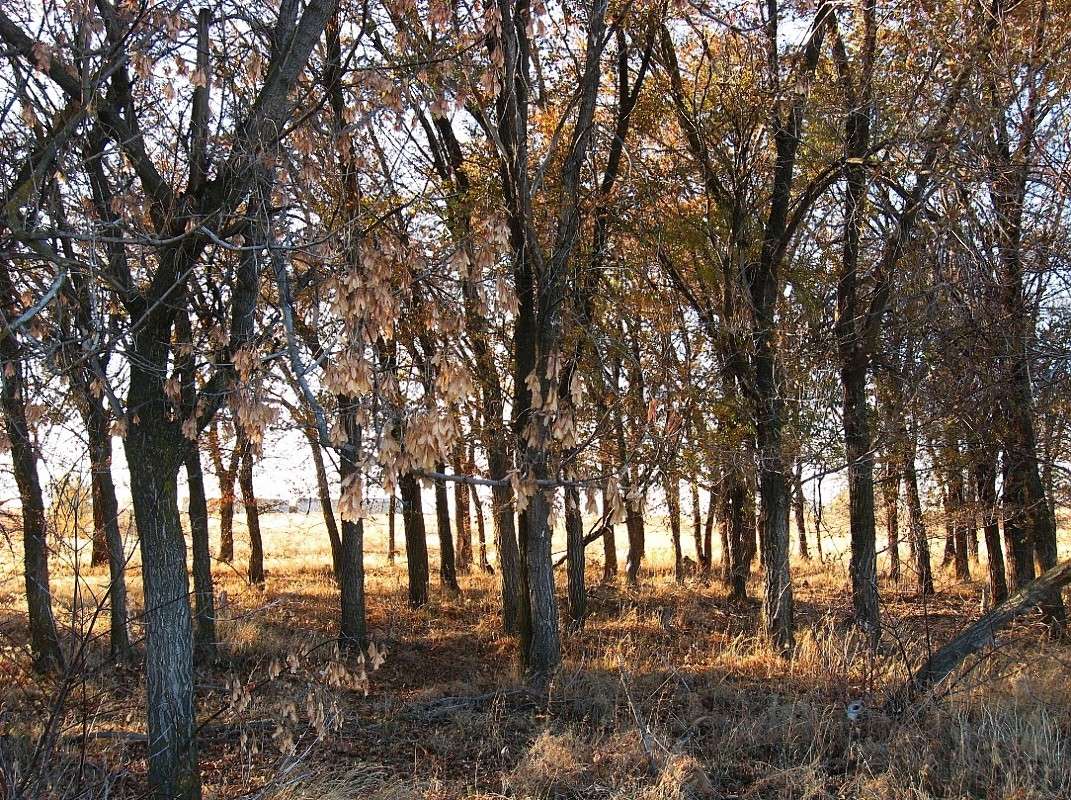 Ҹ���� ���� �������...) ����� Natali  ��������� �� PhotoGeek.ru #������ ��� ������� #����� ��������������