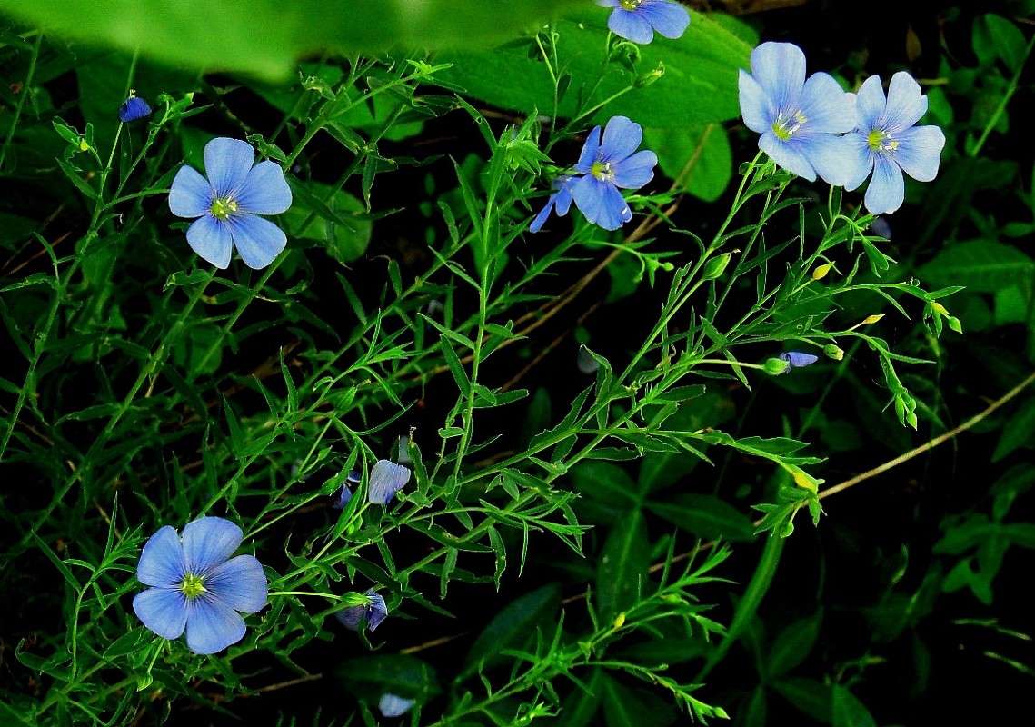 �� ������... ) ����� Natali  ��������� �� PhotoGeek.ru #������ ��� ������� #����� ��������������