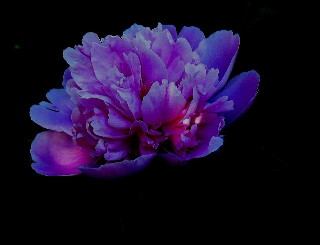 �� ������...3 ����� Natali  ��������� �� PhotoGeek.ru #����� ��������������