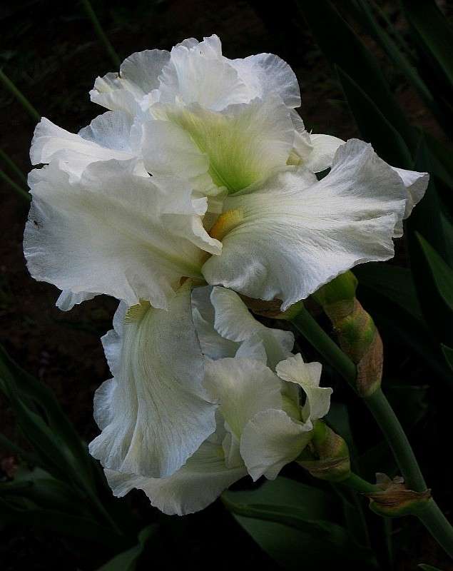 �� ������...2 ����� Natali  ��������� �� PhotoGeek.ru #����� ��������������