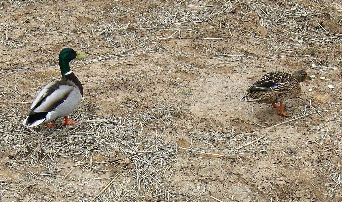 ���-�� ������ ��������...2 ) ����� Natali  ��������� �� PhotoGeek.ru #�������� ��� #����� ��� ��� ���������