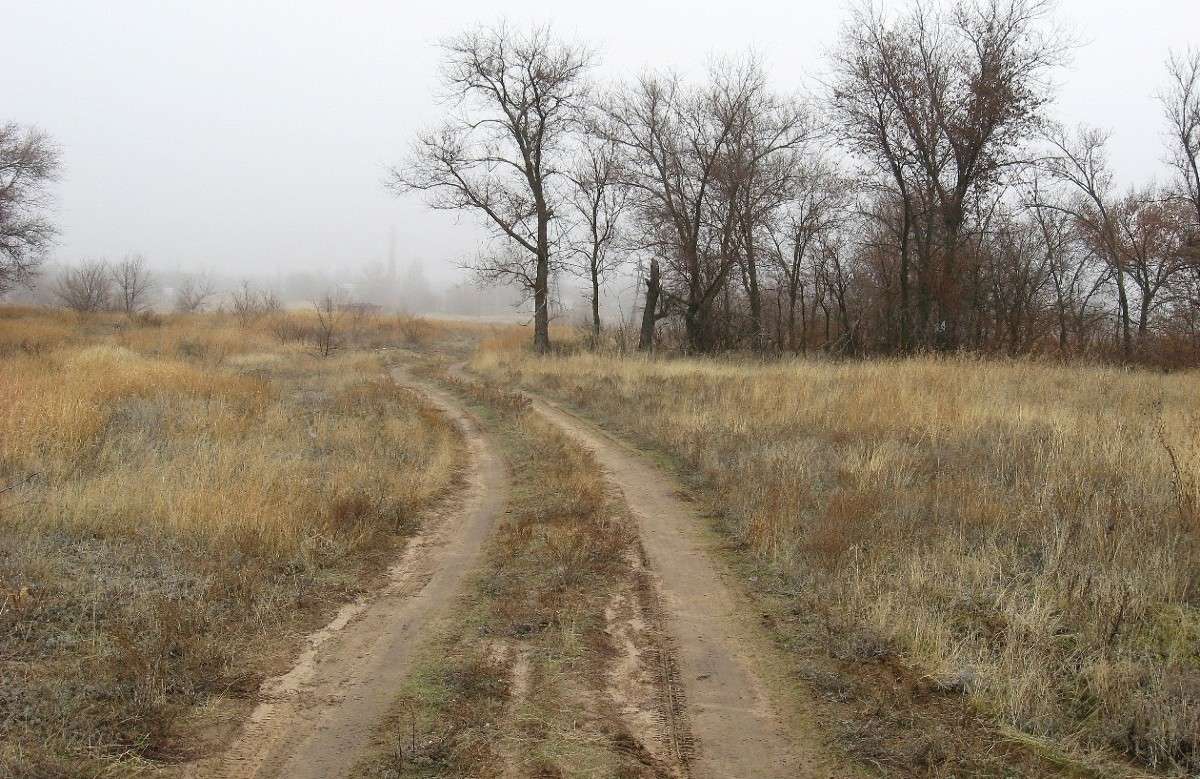 � �����... ����� Natali  ��������� �� PhotoGeek.ru #������ ��� �������