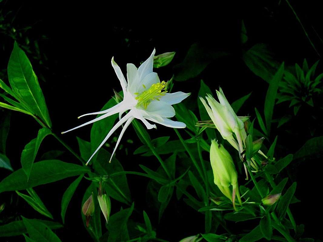 �� ������ ...4 ����� Natali  ��������� �� PhotoGeek.ru #����� ��������������