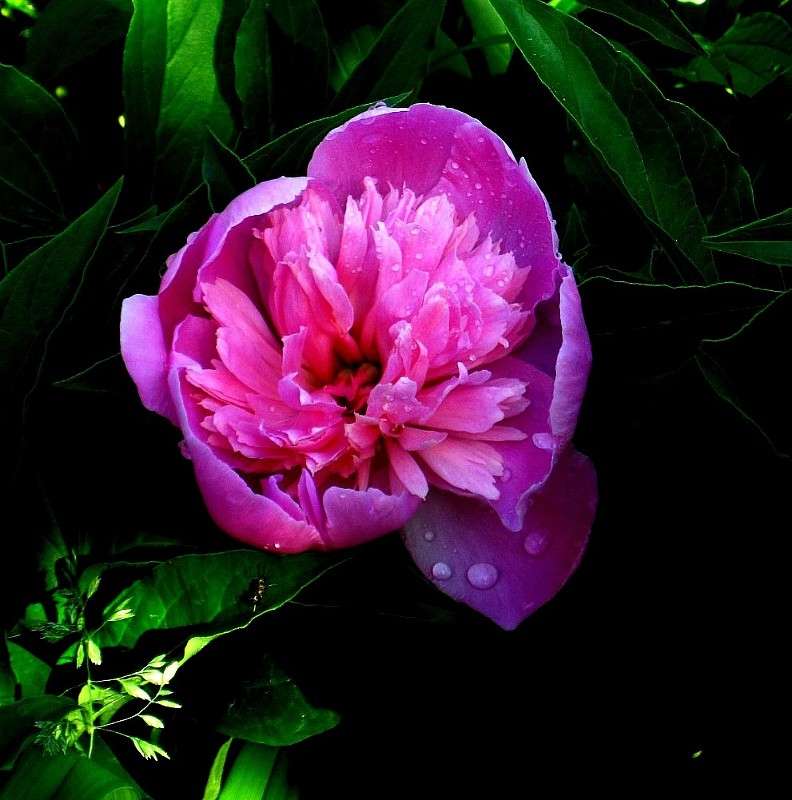 �� ������...5 ����� Natali  ��������� �� PhotoGeek.ru #����� ��������������