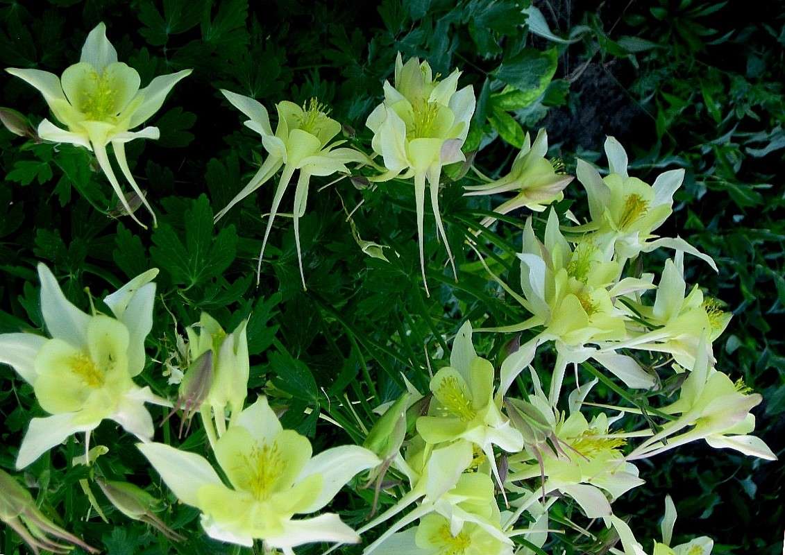 �������� ������������ ����� Natali  ��������� �� PhotoGeek.ru #������ ��� ������� #����� ��������������