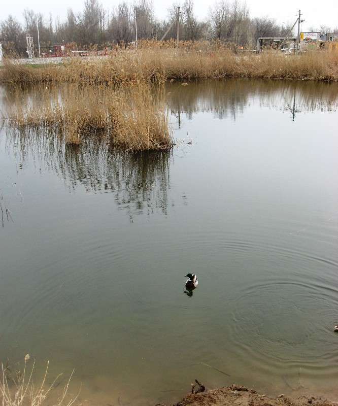 ���������...!) ����� Natali  ��������� �� PhotoGeek.ru #�������� ��� #������ ��� ������� #����� ��� ��� ��������� #����� ��������������