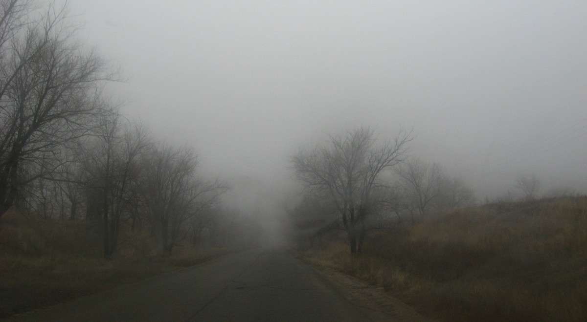 �����.  ���� �� ����... ?!!! ))) ����� Natali  ��������� �� PhotoGeek.ru #������ ��� �������