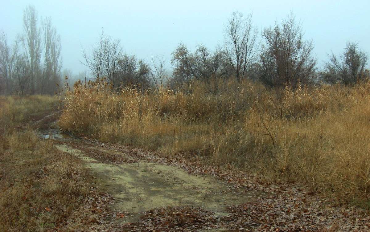 �� �������� � ���� ��������...) ����� Natali  ��������� �� PhotoGeek.ru #������ ��� �������