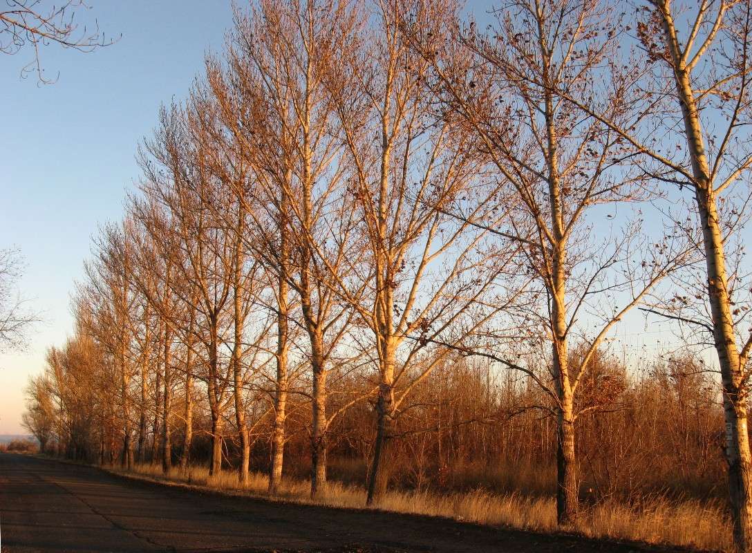 ����� ������� ����� Natali  ��������� �� PhotoGeek.ru #������ ��� �������