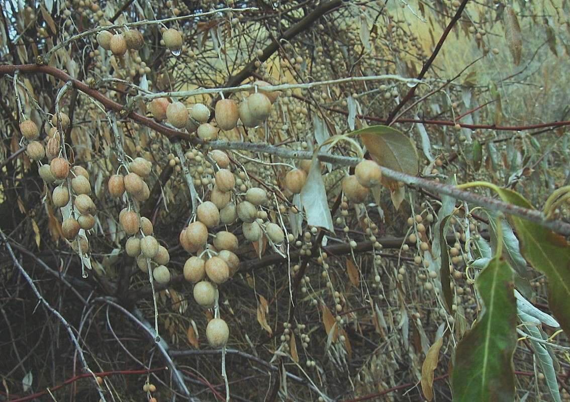 ����� ������� ����� Natali  ��������� �� PhotoGeek.ru #������ ��� ������� #����� ��������������