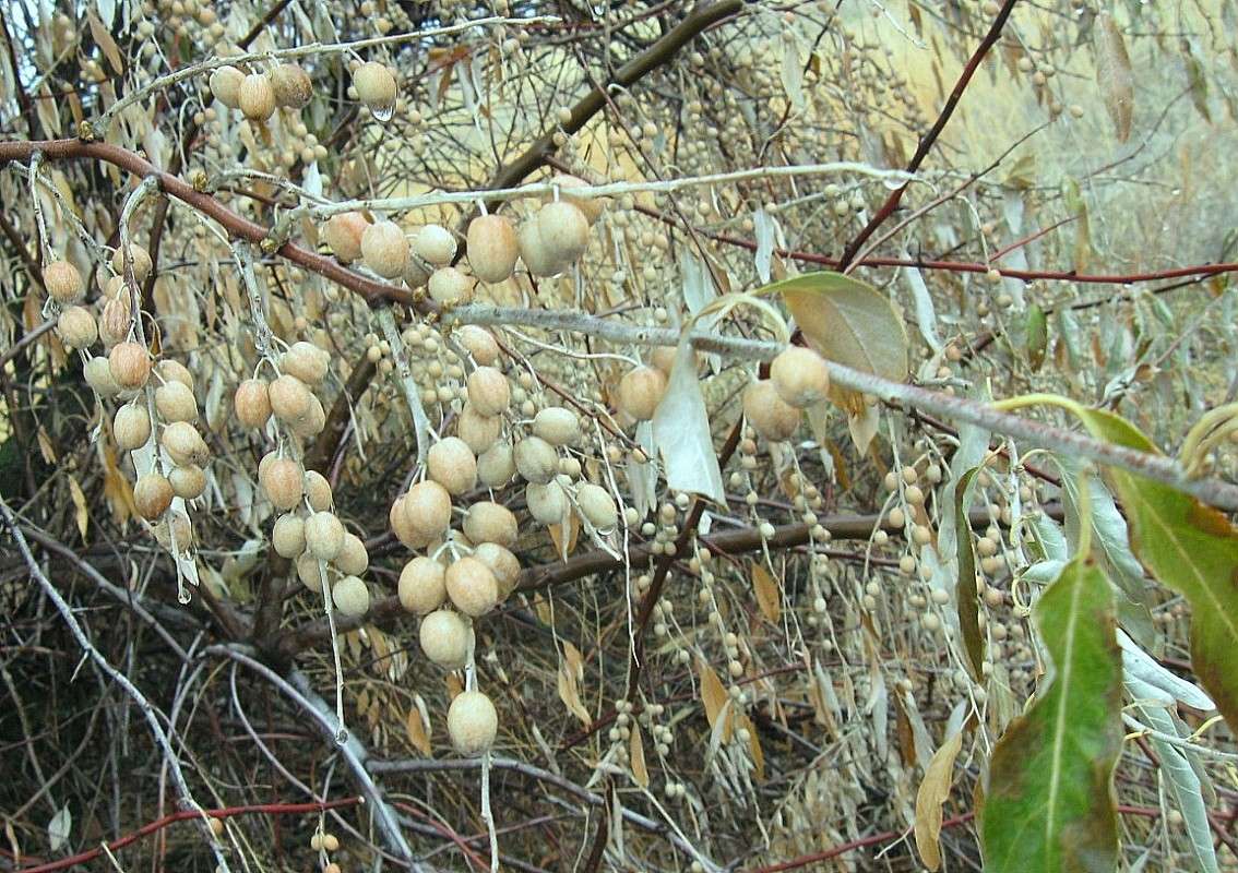 ����� ������� ����� Natali  ��������� �� PhotoGeek.ru #����� ��������������