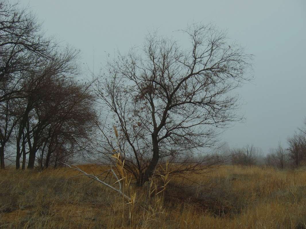 �����, ��������, �������... ����� Natali  ��������� �� PhotoGeek.ru #������ ��� ������� #����� ��������������