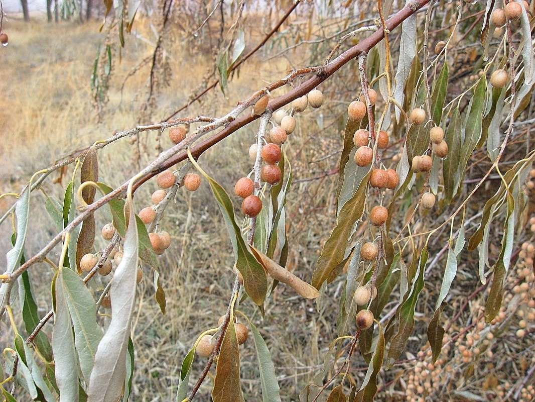 �������� �� �����...) ����� Natali  ��������� �� PhotoGeek.ru #������ ��� ������� #����� ��������������