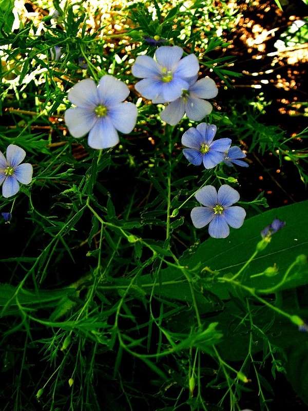 �� ��������. ����� Natali  ��������� �� PhotoGeek.ru #������ ��� ������� #����� ��������������