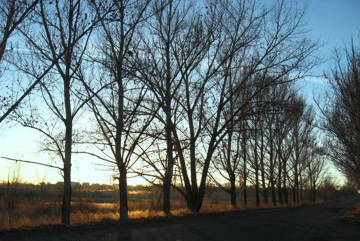 ������ ������...) ����� Natali  ��������� �� PhotoGeek.ru #������ ��� ������� #����� ��������������