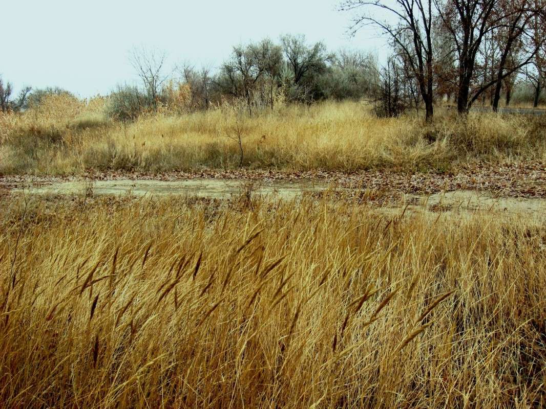 �������� �� �����...2...) ����� Natali  ��������� �� PhotoGeek.ru #������ ��� ������� #����� ��������������