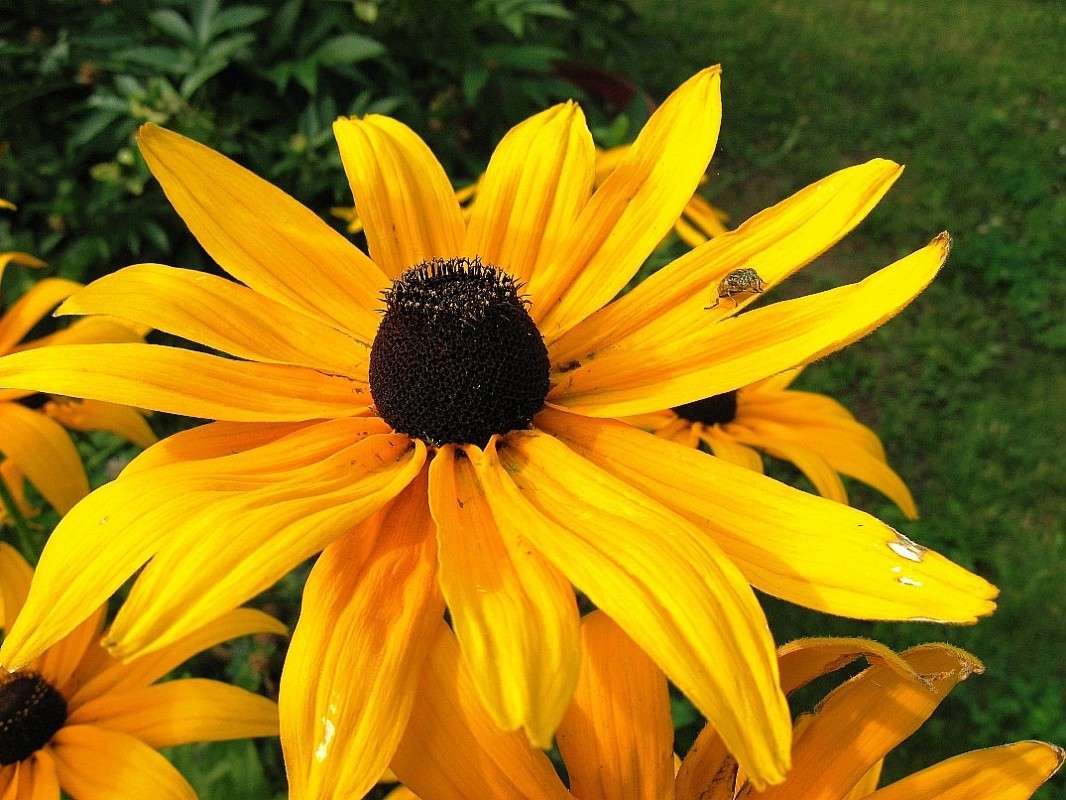 � ������ ������...2 ����� Natali  ��������� �� PhotoGeek.ru #������ ��� ������� #����� ��������������