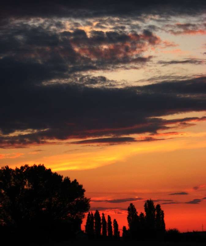 ... ����� Natali  ��������� �� PhotoGeek.ru #������ ��� �������