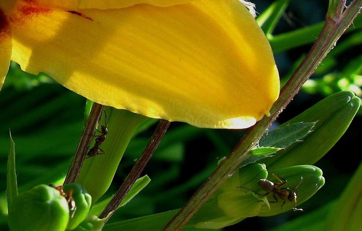 ��� ���������... ����� Natali  ��������� �� PhotoGeek.ru #������ ��� ������� #����� �������������� #��������