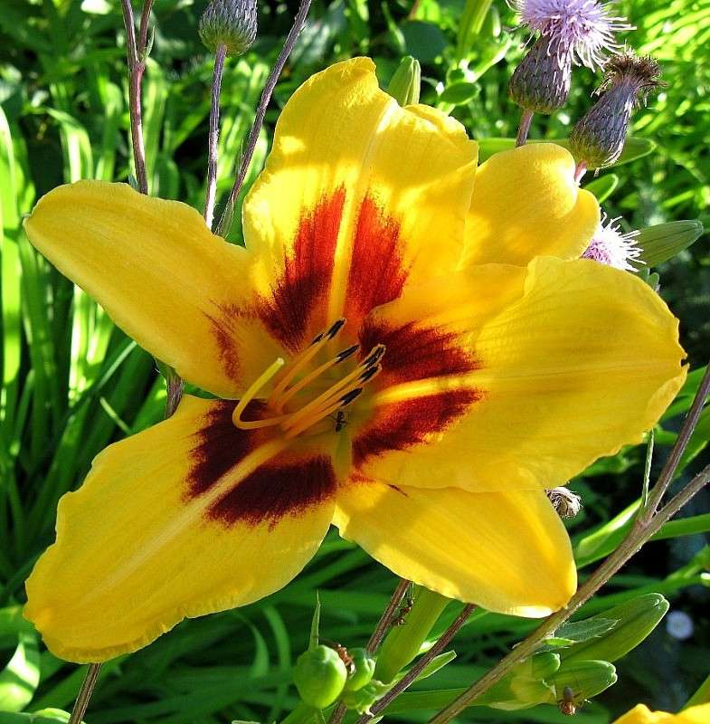 � ������ ������... ����� Natali  ��������� �� PhotoGeek.ru #������ ��� ������� #����� ��������������