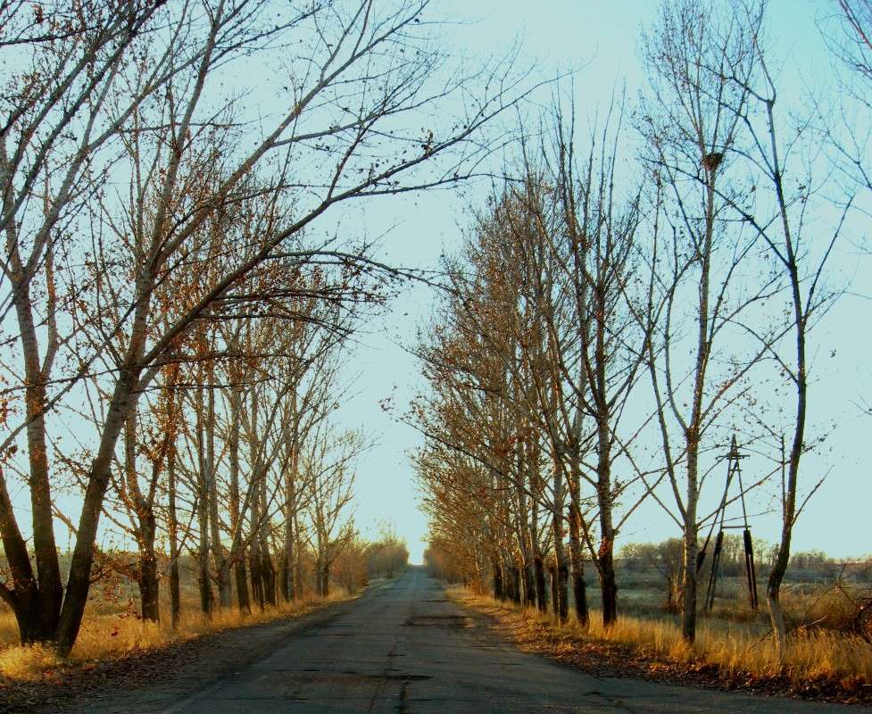 ������ ����� Natali  ��������� �� PhotoGeek.ru #������ ��� �������