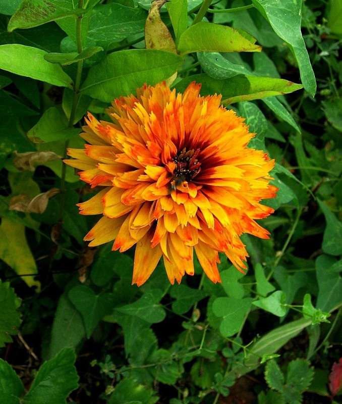 � ������ ������...3 ����� Natali  ��������� �� PhotoGeek.ru #������ ��� ������� #����� ��������������