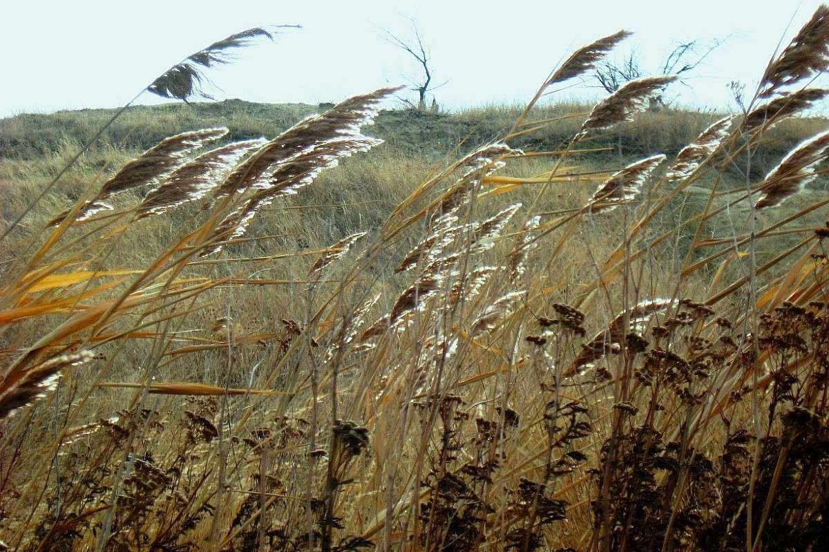 �� ����� ����� Natali  ��������� �� PhotoGeek.ru #������ ��� ������� #����� ��������������