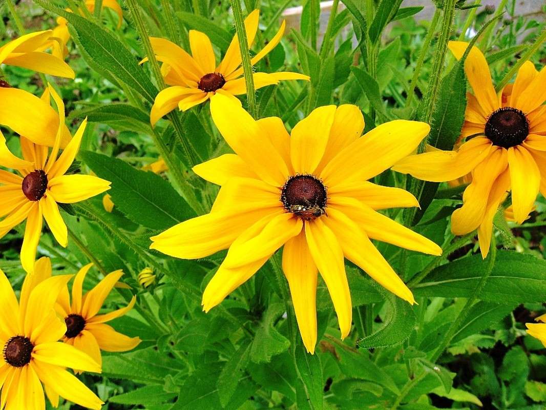 � ������ ������...4 ����� Natali  ��������� �� PhotoGeek.ru #������ ��� ������� #����� ��������������