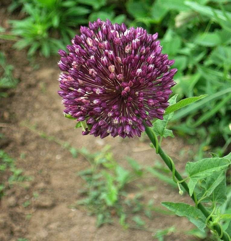 ��� ������...))) ����� Natali  ��������� �� PhotoGeek.ru #������ ��� ������� #����� ��������������