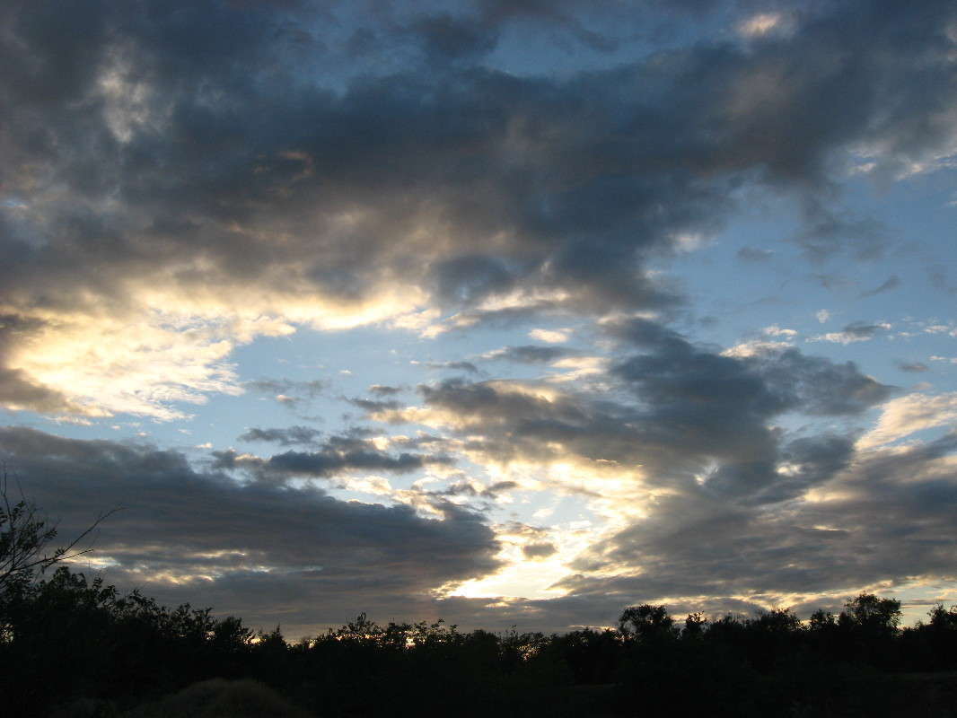 ... ����� Natali  ��������� �� PhotoGeek.ru #������ ��� �������