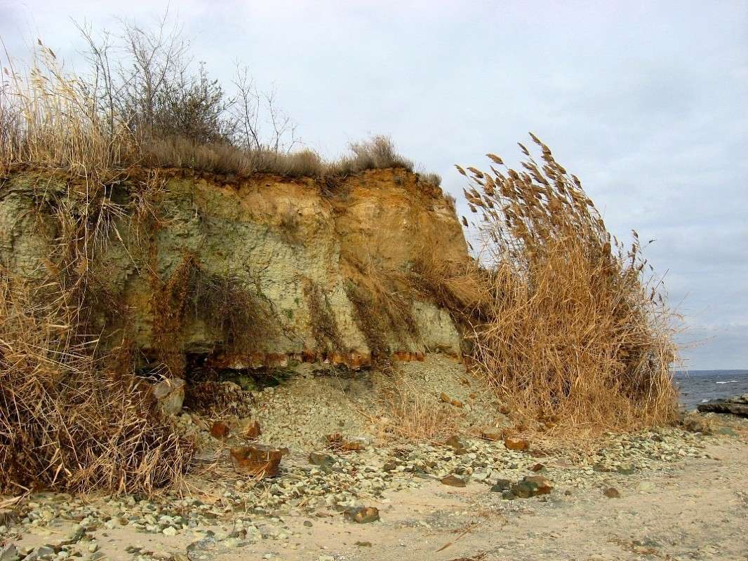 ������... 4 ����� Natali  ��������� �� PhotoGeek.ru #������ ��� �������