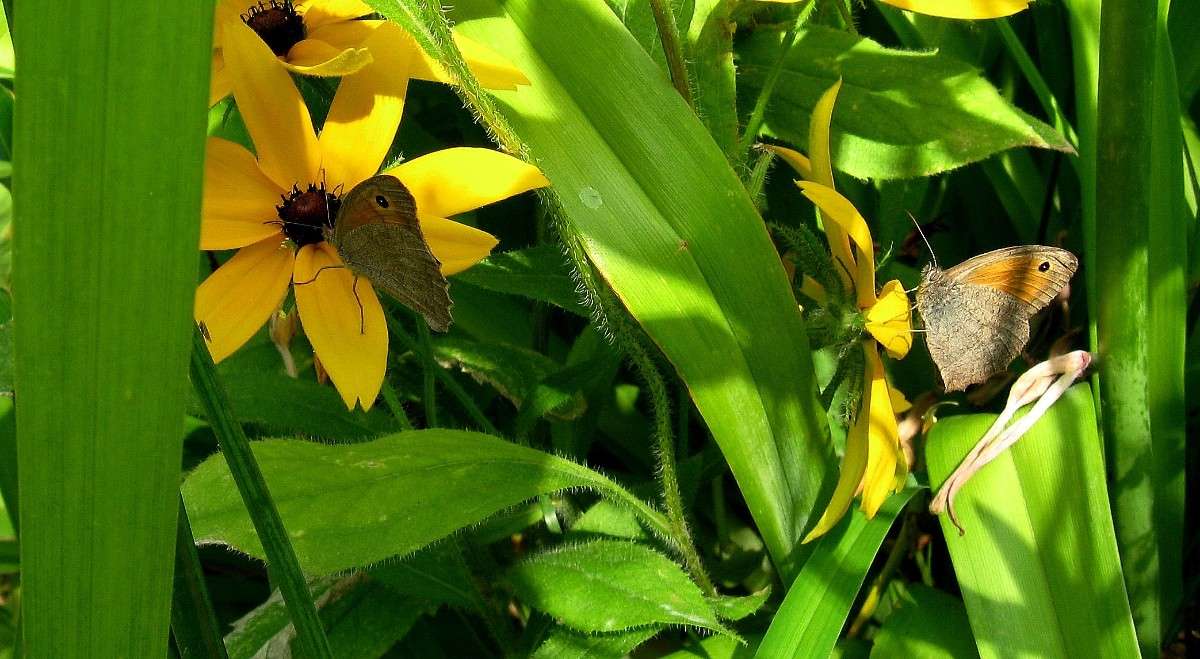 ����. ����� Natali  ��������� �� PhotoGeek.ru #������ ��� ������� #����� ��������������