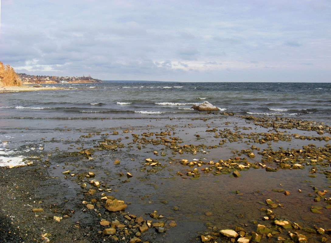 �� ������� ��������. ����� Natali  ��������� �� PhotoGeek.ru #������ ��� �������