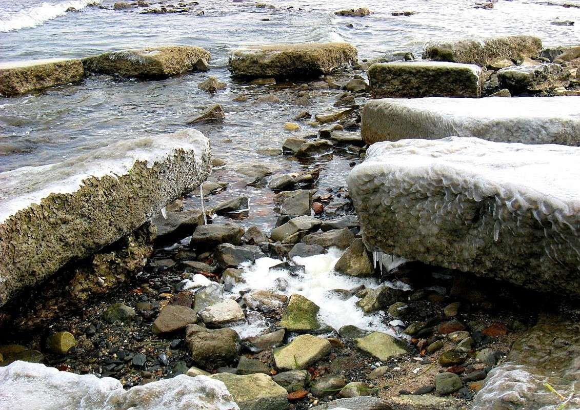 ������. ����������. ����� Natali  ��������� �� PhotoGeek.ru #������ ��� �������