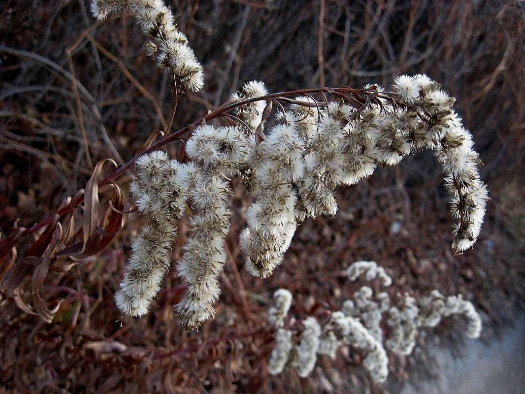 ������. ���� ���������...) ����� Natali  ��������� �� PhotoGeek.ru #������ ��� ������� #����� ��������������