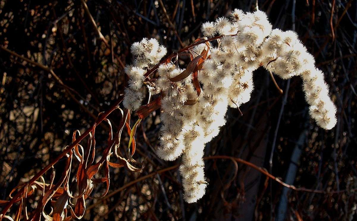 ������. ���� ���������...) ����� Natali  ��������� �� PhotoGeek.ru #������ ��� ������� #����� ��������������