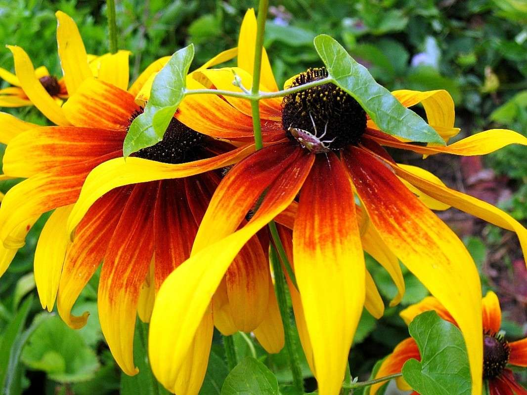 ���� � ����...) ����� Natali  ��������� �� PhotoGeek.ru #������ ��� ������� #����� ��������������