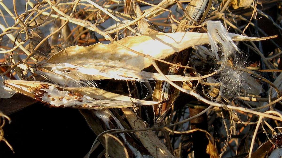 ��� ������� � �������...) ����� Natali  ��������� �� PhotoGeek.ru #������ ��� ������� #����� ��������������