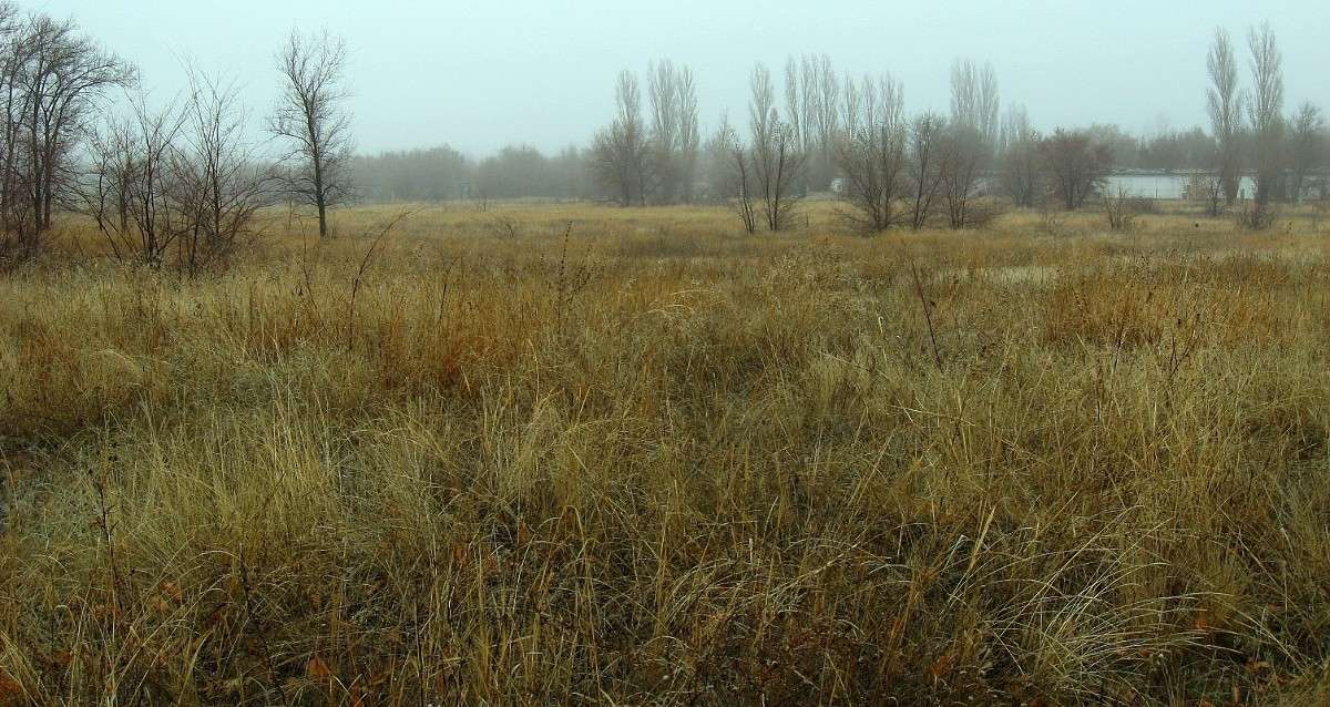 � ������... ����� Natali  ��������� �� PhotoGeek.ru #������ ��� �������