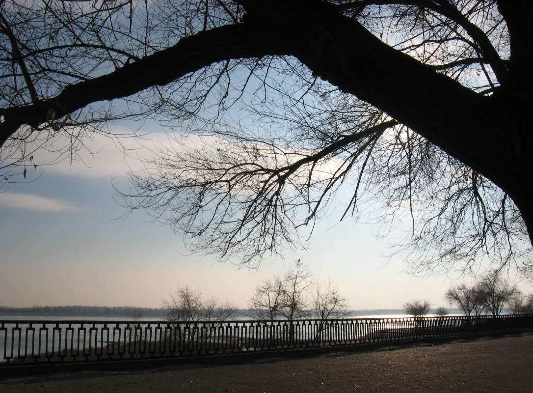 ... ����� Natali  ��������� �� PhotoGeek.ru #����� #������ ��� ������� #����� ��������������