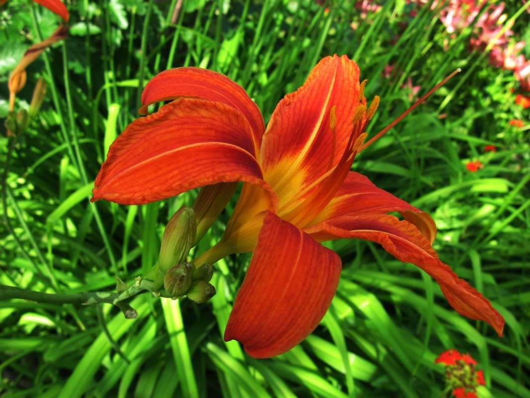 �� ������� ����� Natali  ��������� �� PhotoGeek.ru #����� ��������������