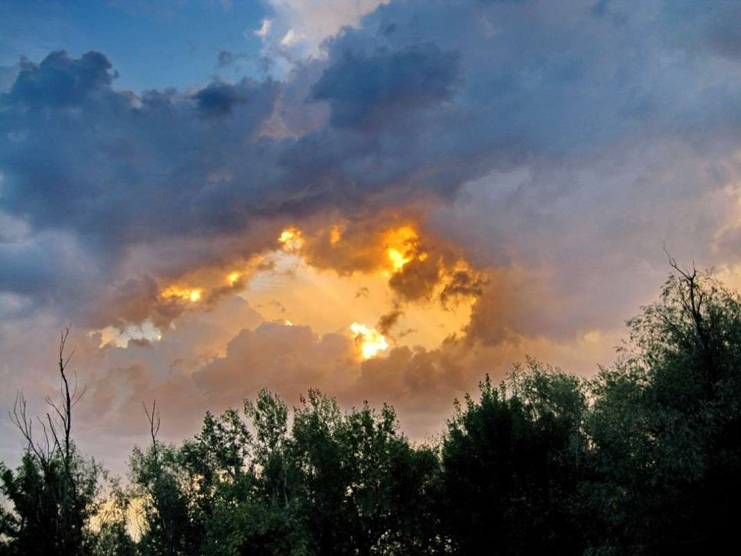 �� ������. ����. ����� Natali  ��������� �� PhotoGeek.ru #������ ��� �������