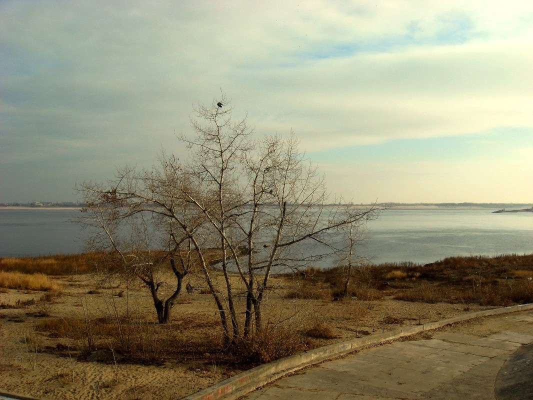 �� ������ ���� �������...2. ����� Natali  ��������� �� PhotoGeek.ru #������ ��� �������