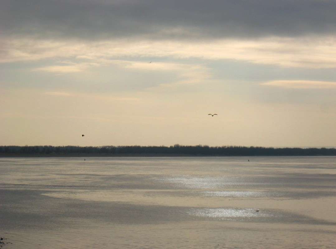 � ���������� ����� ����� Natali  ��������� �� PhotoGeek.ru #������ ��� �������