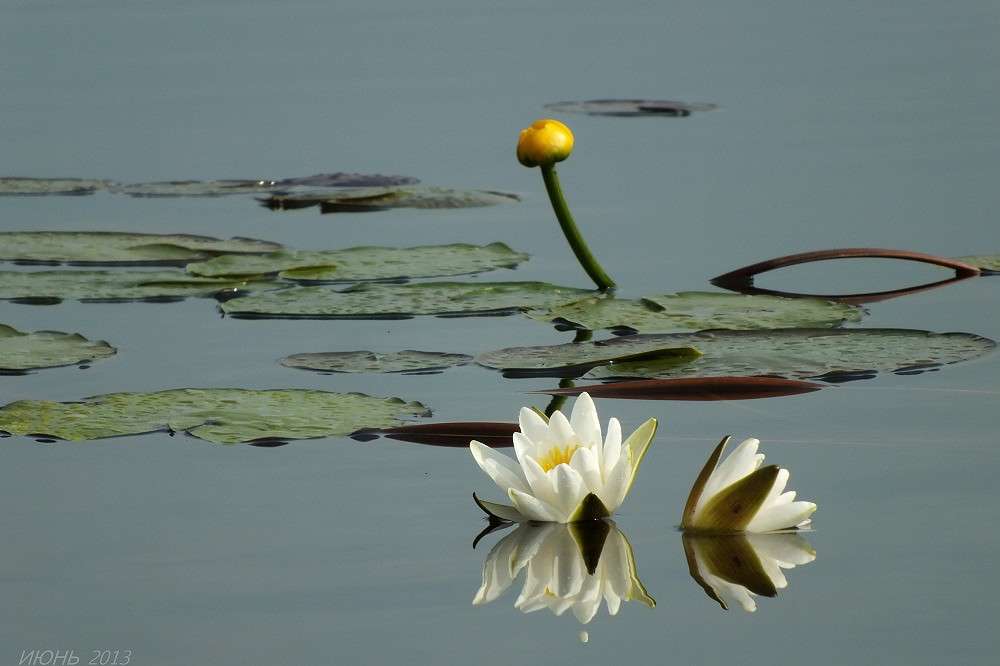 ��������� ����� �������  �� PhotoGeek.ru #������ ��� �������