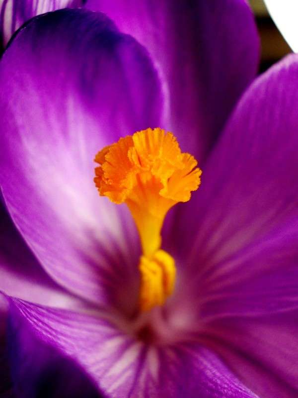 ... ����� ���