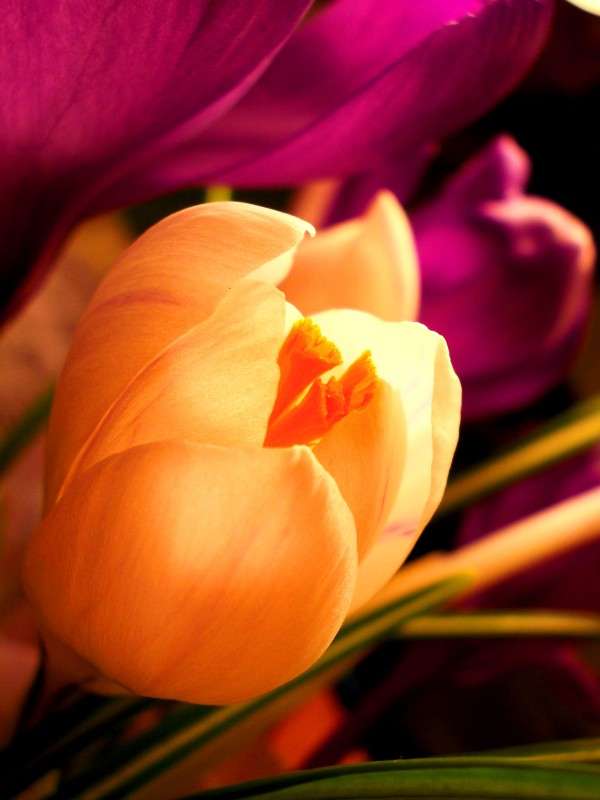 ... ����� ���